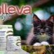Ciri-ciri makanan untuk kucing dan kucing Alleva