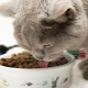 Mga tampok ng SUMMIT cat food