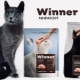 Kaķu un kaķu barības īpašības Uzvarētājs