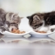 Ciri-ciri makanan untuk anak kucing PURINA ONE