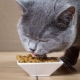 คุณสมบัติของอาหารสำหรับแมวและแมวที่ผ่านการฆ่าเชื้อ PERFECT FIT