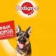 Характеристики на храната Pedigree за кучета от големи породи