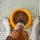 Funkcje karmy dla zwierząt domowych