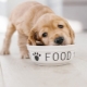Ciri-ciri makanan anak anjing Purina Dog Chow