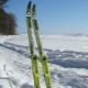 Mga tampok ng plastic skis