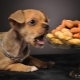 Pelbagai Makanan Anak Anjing Farmina