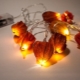 Variety of physalis crafts