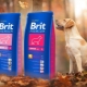 Brit verscheidenheid aan droog hondenvoer