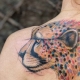 Tatu cheetah: makna dan pilihan untuk lakaran