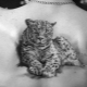 Luipaard tatoeage