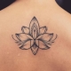Lotosové tetování
