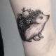 Tetovaža ježa