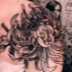Chrysanthemum tattoo