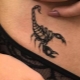Tetovanie znamenia zverokruhu Škorpión