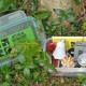 All about geocaching