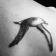 Todo sobre el tatuaje de la gaviota