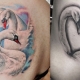 Alles über Schwan Tattoo