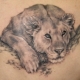 Alles über Löwin Tattoo