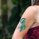 Mindent a Medusa tetoválásról