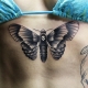 Totul despre tatuaje cu molii