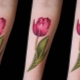 Todo sobre los tatuajes de tulipanes
