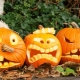 All About Halloween Pumpkins