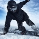Alles over snowboardbescherming