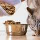 Chọn thức ăn tổng hợp cho mèo