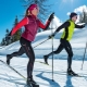 Elegir bastones de esquí para el movimiento clásico