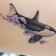 Significato e schizzi di un tatuaggio di un'orca assassina