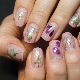 All about manicure with dried flowers