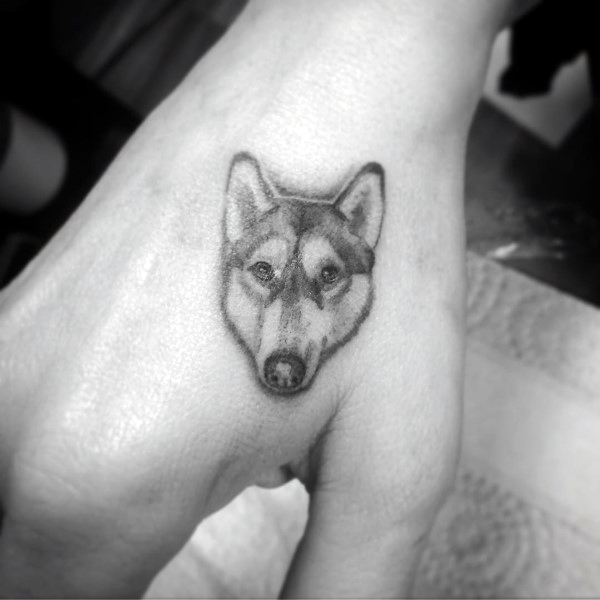 34 Husky Tattoo ý tưởng  hình xăm hình xăm sói xăm