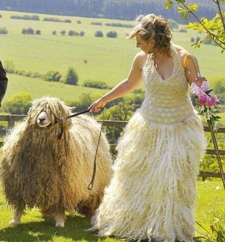 فستان زفاف محبوك من الصوف